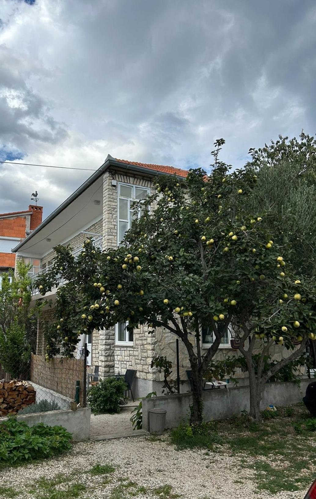 Villa Jadran Zadar Free Parking Sea View Εξωτερικό φωτογραφία