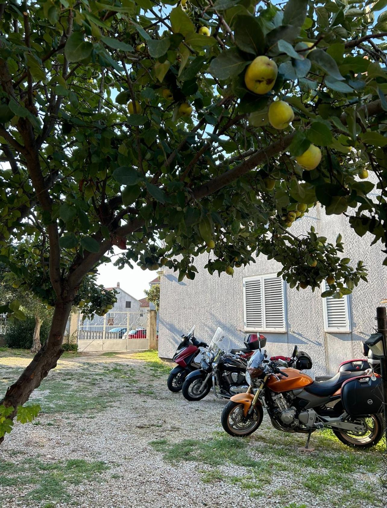 Villa Jadran Zadar Free Parking Sea View Εξωτερικό φωτογραφία